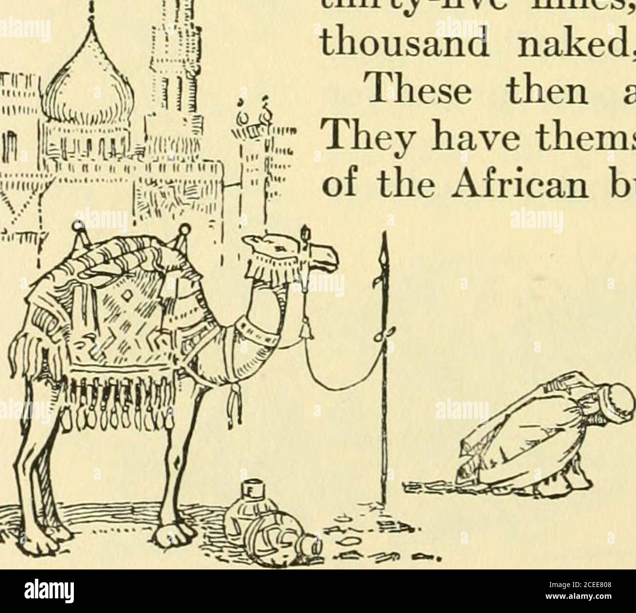 Under The Crescent And Among The Kraals A Study Of Methodism In Africa Ed And Ask What Makesthe Box Cry Having Lived In Real Flatsall Their Lives They Are Desperately Afraid
