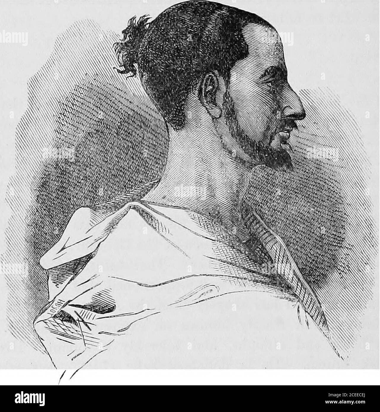 . Anthropology. kin is fairin childhood, and readily bronzes on exposure to the air. Hishair is black and straight, and tolerably abundant. His eyesare dark brown. He is dolichocephalic (744°), leptorrhinian,though not excessively so (44-3), and moderately orthognathous(818). His face is less long, and its oval outline less regularthan that of the Arab. His forehead is straight, and has atits base a transverse depression. The superciliary ridges aremoderately developed. The nose, deeply sunk in at the root, isfrequently brusque without being aquiline, sometimes obliquein front and turned up at Stock Photo