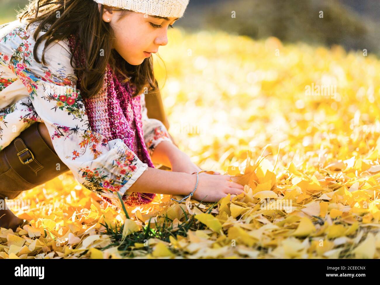 girl taking leaves from the ground Stock Photo Alamy