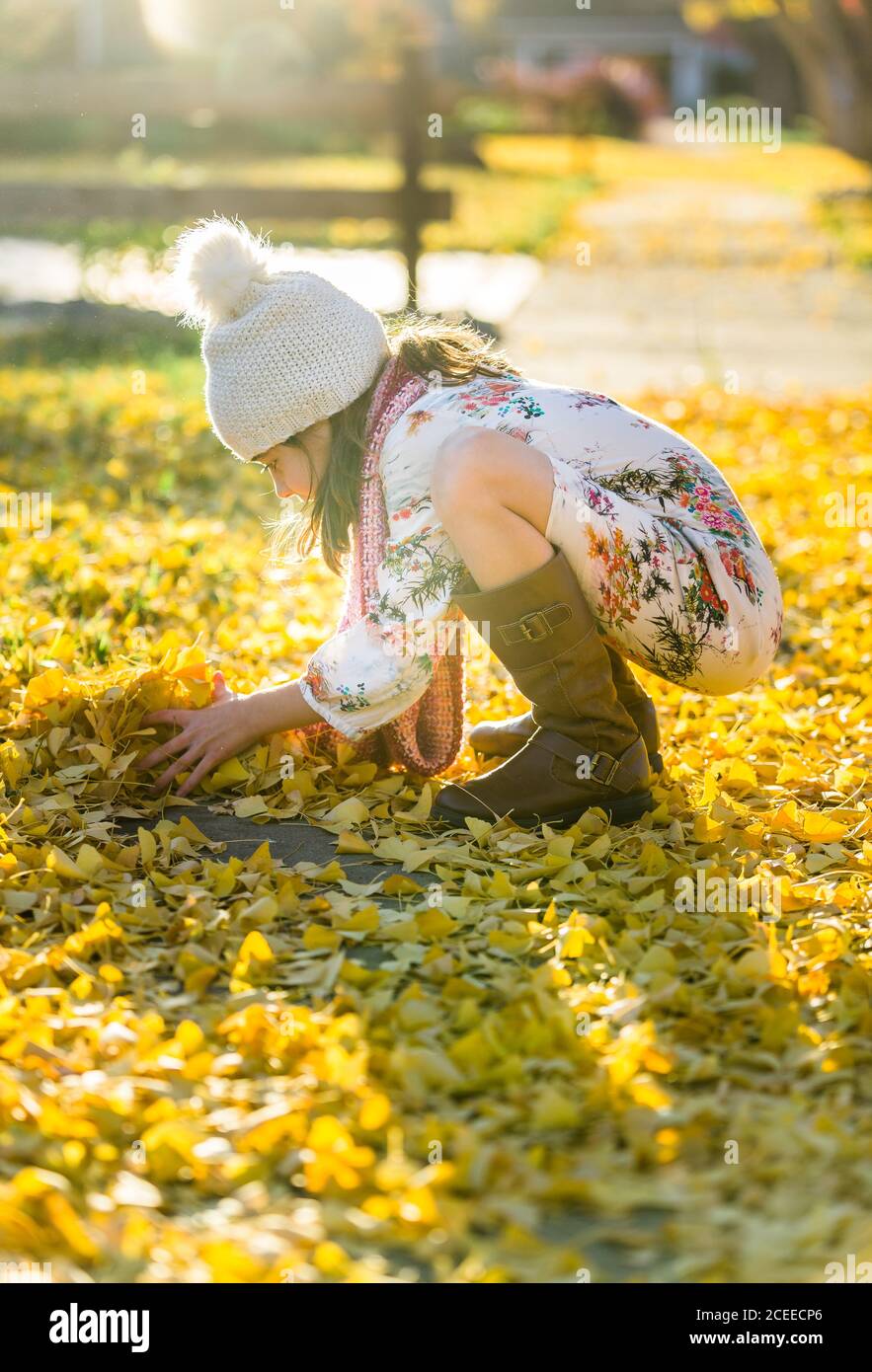 girl taking leaves from the ground Stock Photo Alamy
