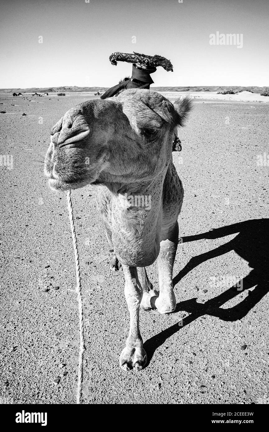 Nice desert Black and White Stock Photos & Images - Alamy