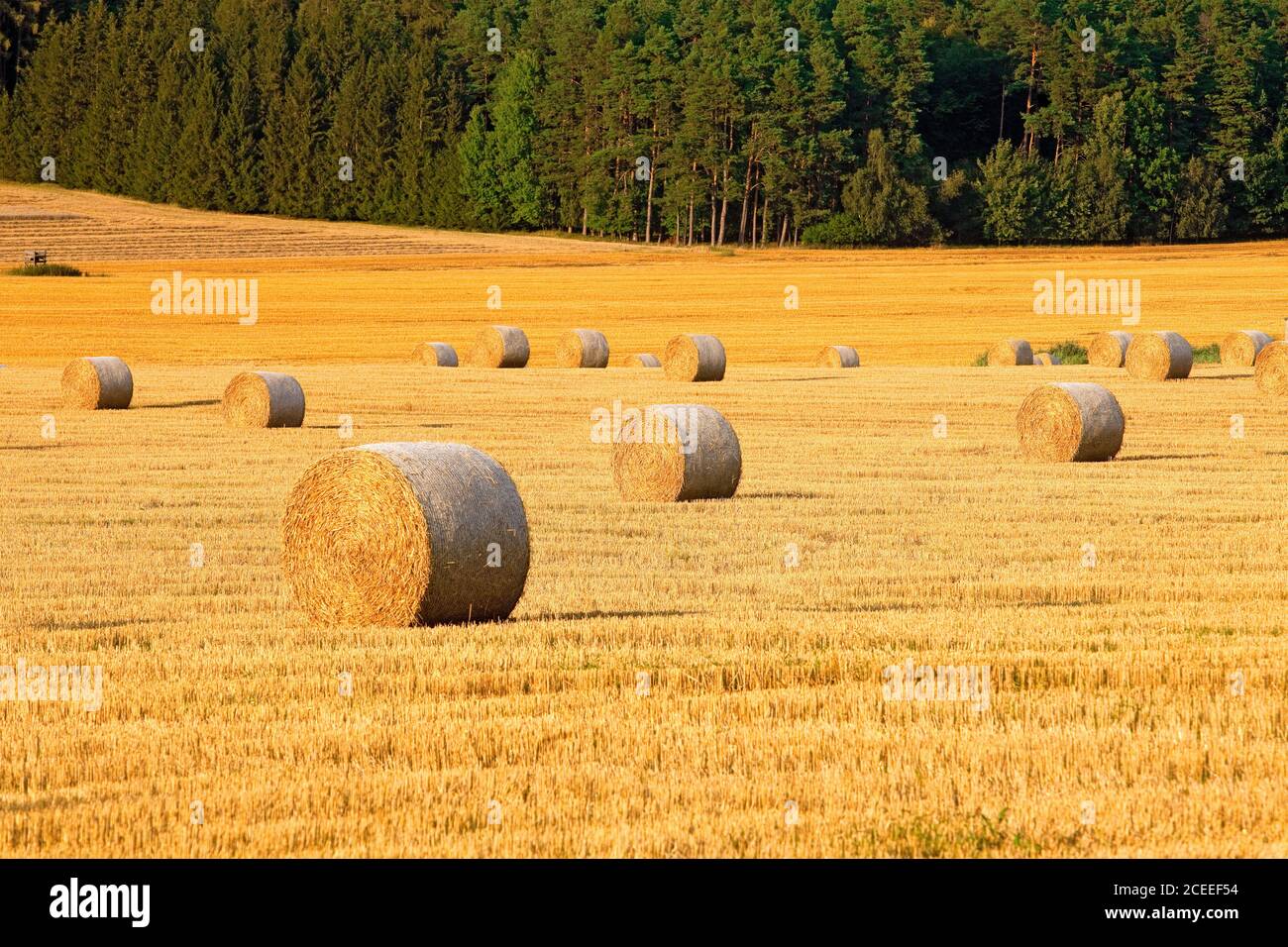 Czech Republic, South Bohemia - Bales of Hay. Stock Photo