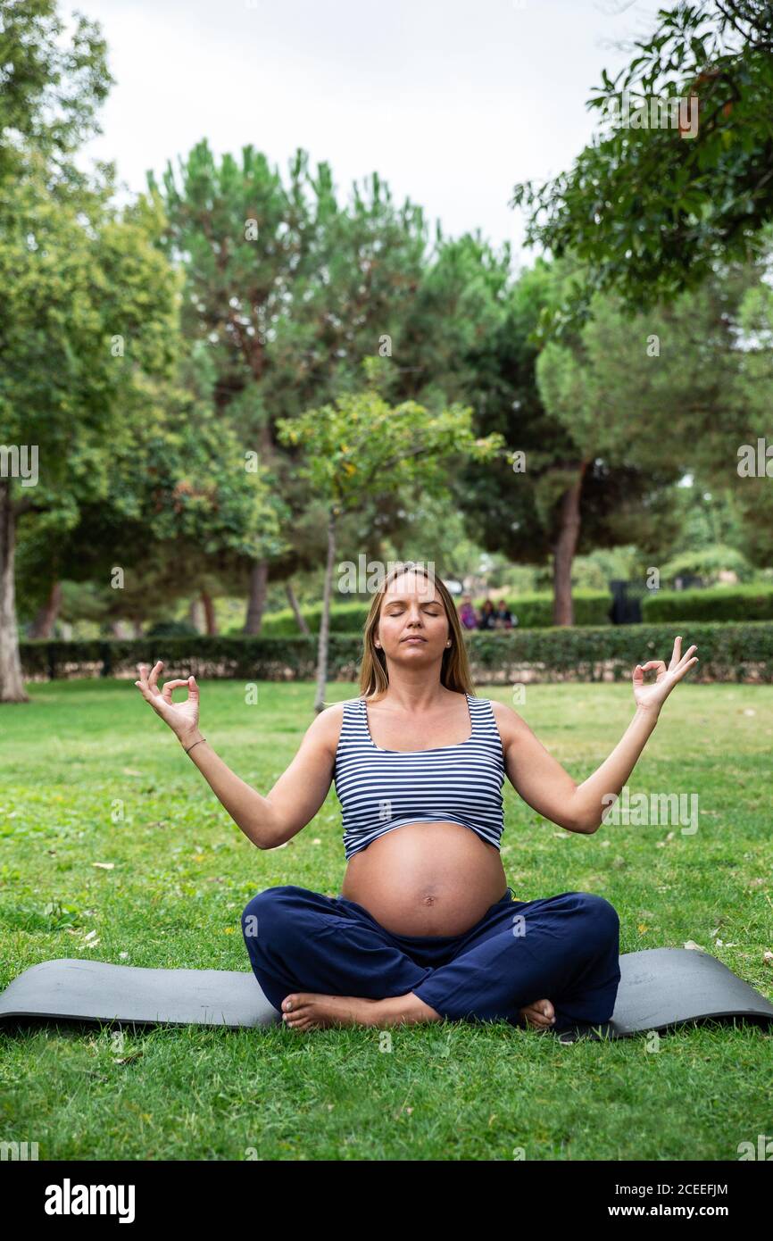 Pregnant attractive Woman meditating on mat in park Stock Photo