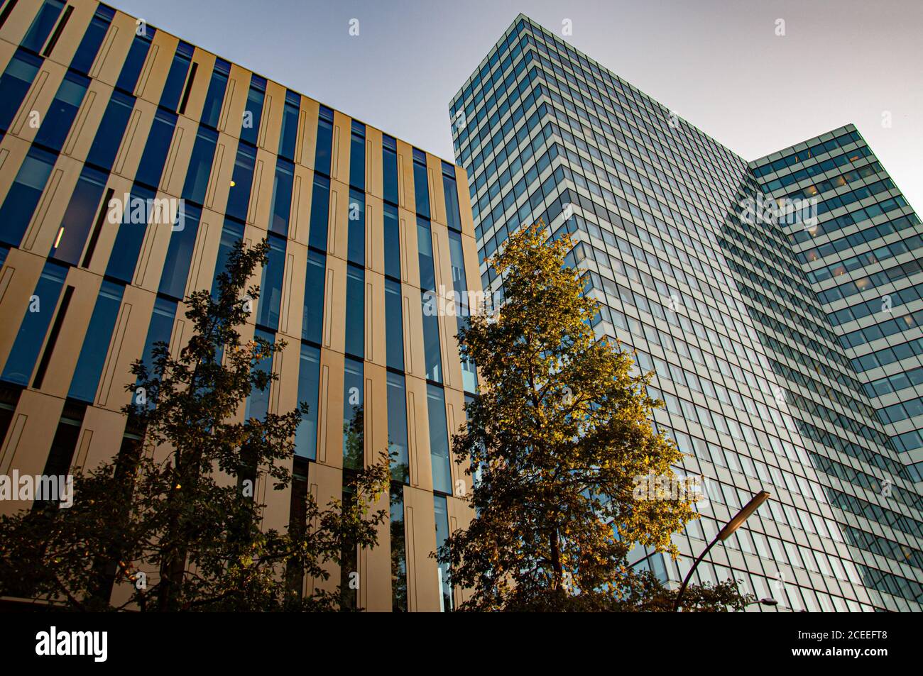 Skyscraper office park of corporate buildings of futuristic geometric shapes. Modern business architecture of autumn cityscape in Hamburg Germany Stock Photo