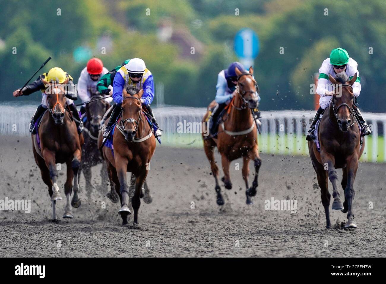 Every race live on racing tv handicap kempton park racecourse hires