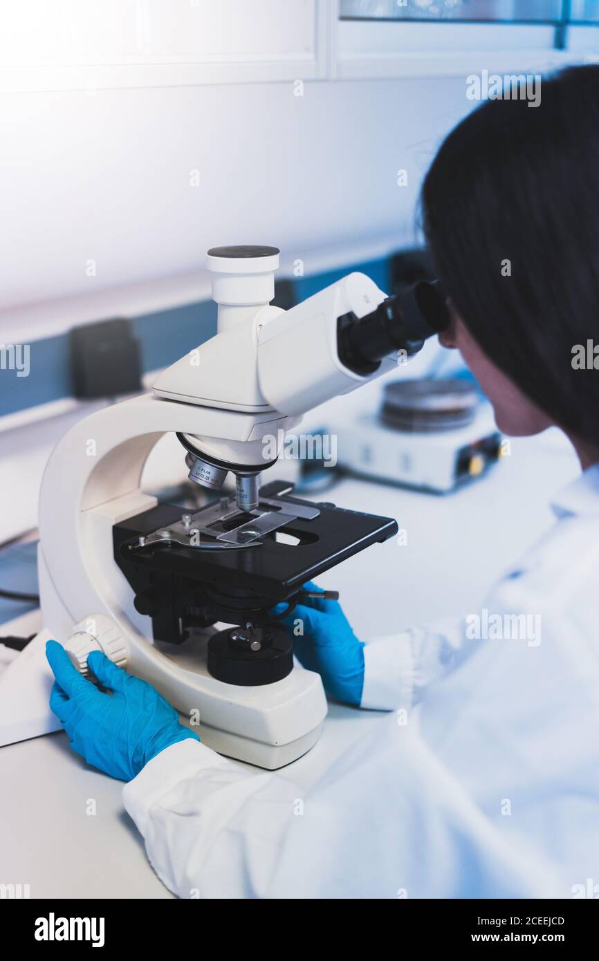 Young Woman using microscope in laboratory Stock Photo