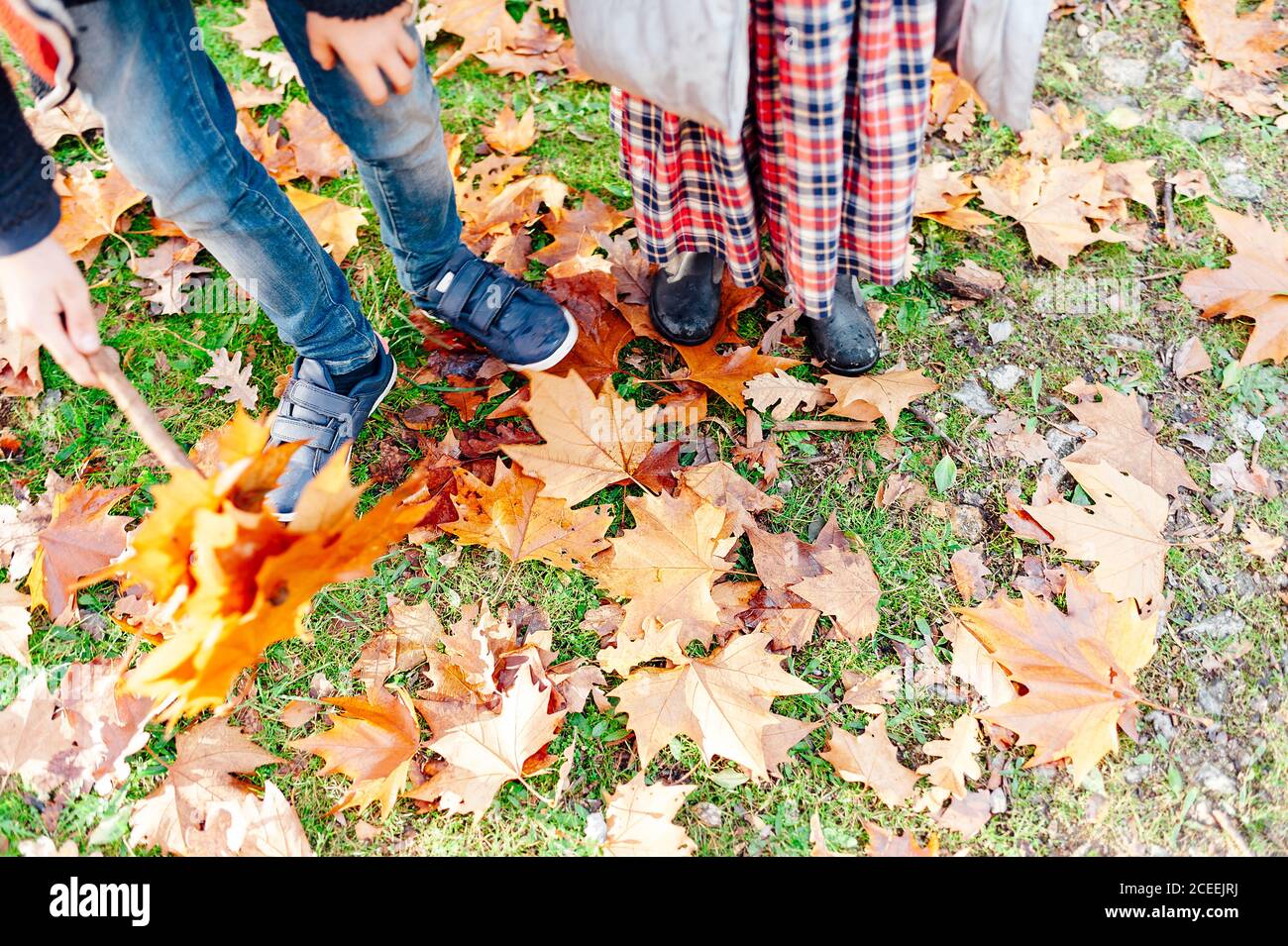 Feet of children treading leaves in the countryside Stock Photo