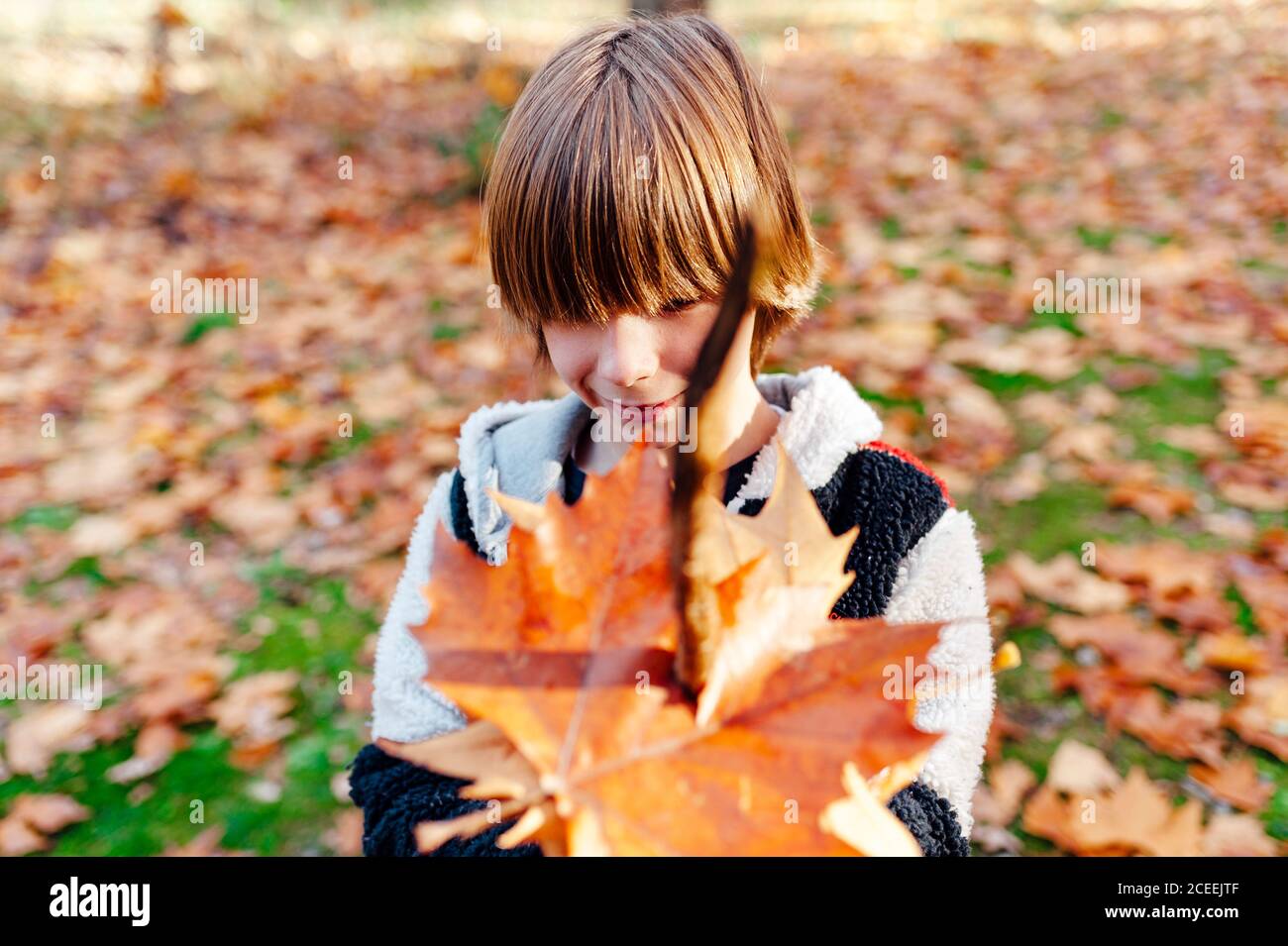 boy holding a tree branch fully of dry leaves in the countryside Stock ...