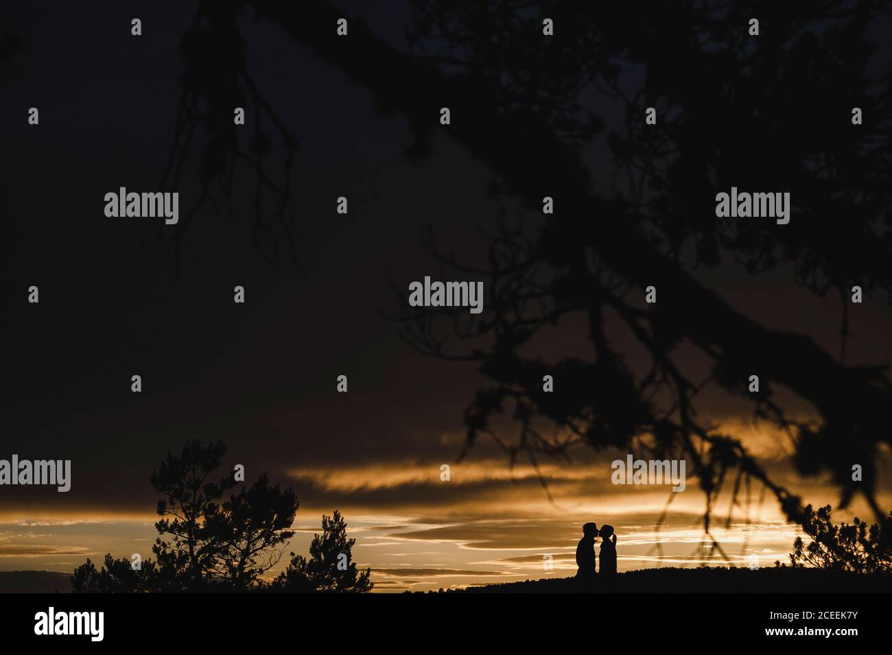 Silhouette of a couple kissing at dramatic sunset close to a tree Stock ...