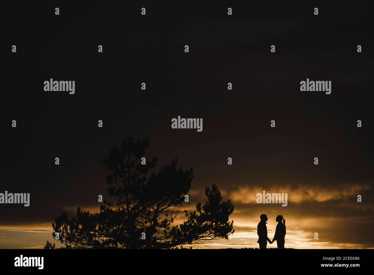 Silhouette of a couple kissing at dramatic sunset close to a tree Stock ...