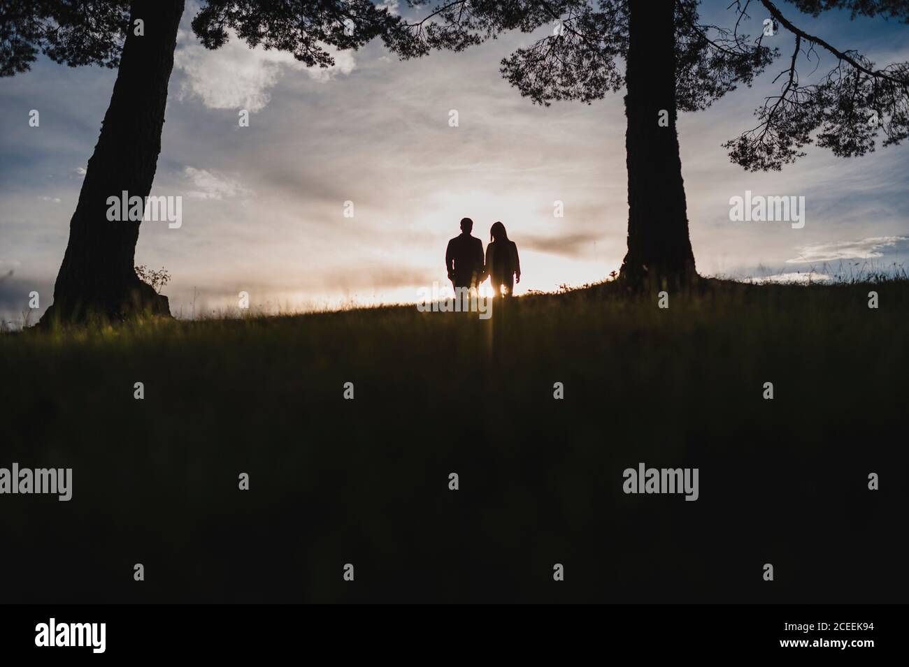 Silhouette of a couple kissing at dramatic sunset close to a tree Stock ...