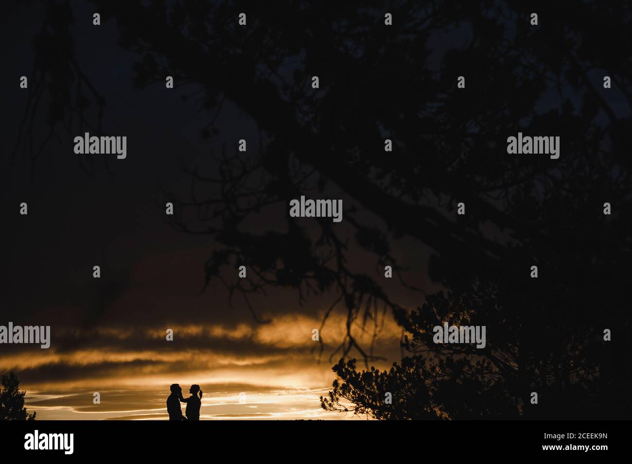 Silhouette of a couple kissing at dramatic sunset close to a tree Stock ...