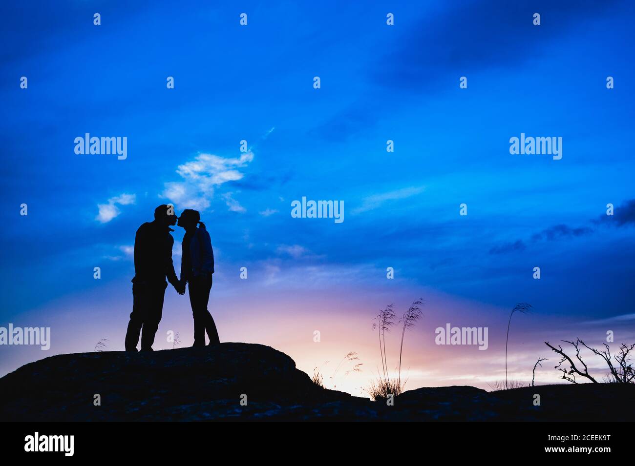 Silhouette of a couple kissing at dramatic sunset close to a tree Stock ...