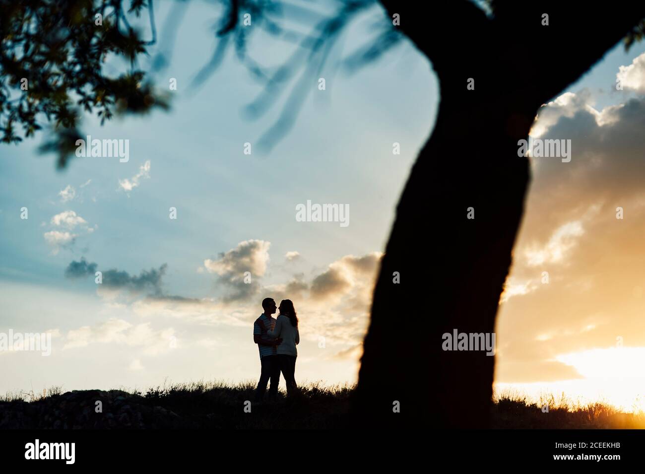 Silhouette of a couple walking at scenic sunset close to a tree Stock Photo