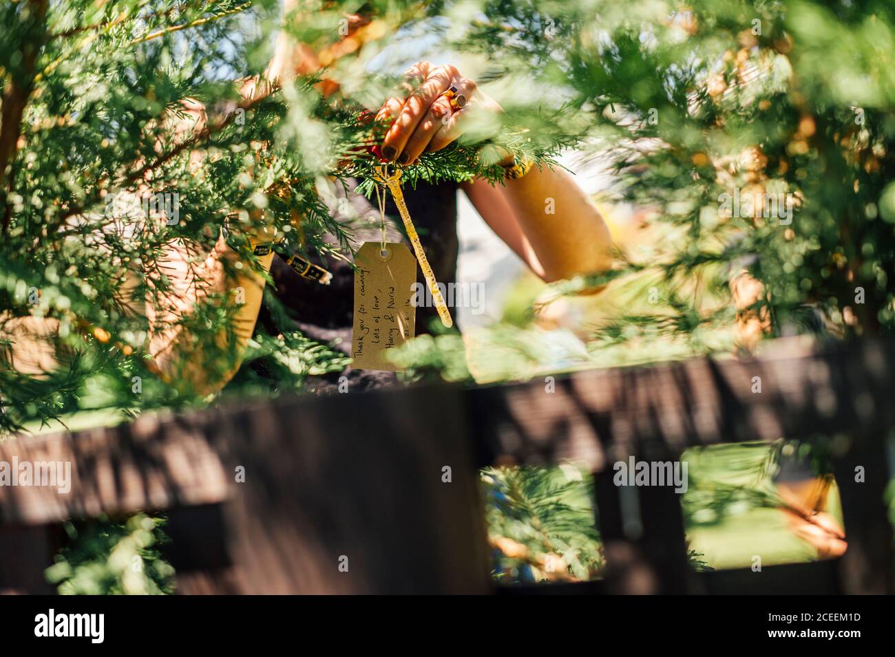 Paper cards with names hanging on tree branches in countryside Stock