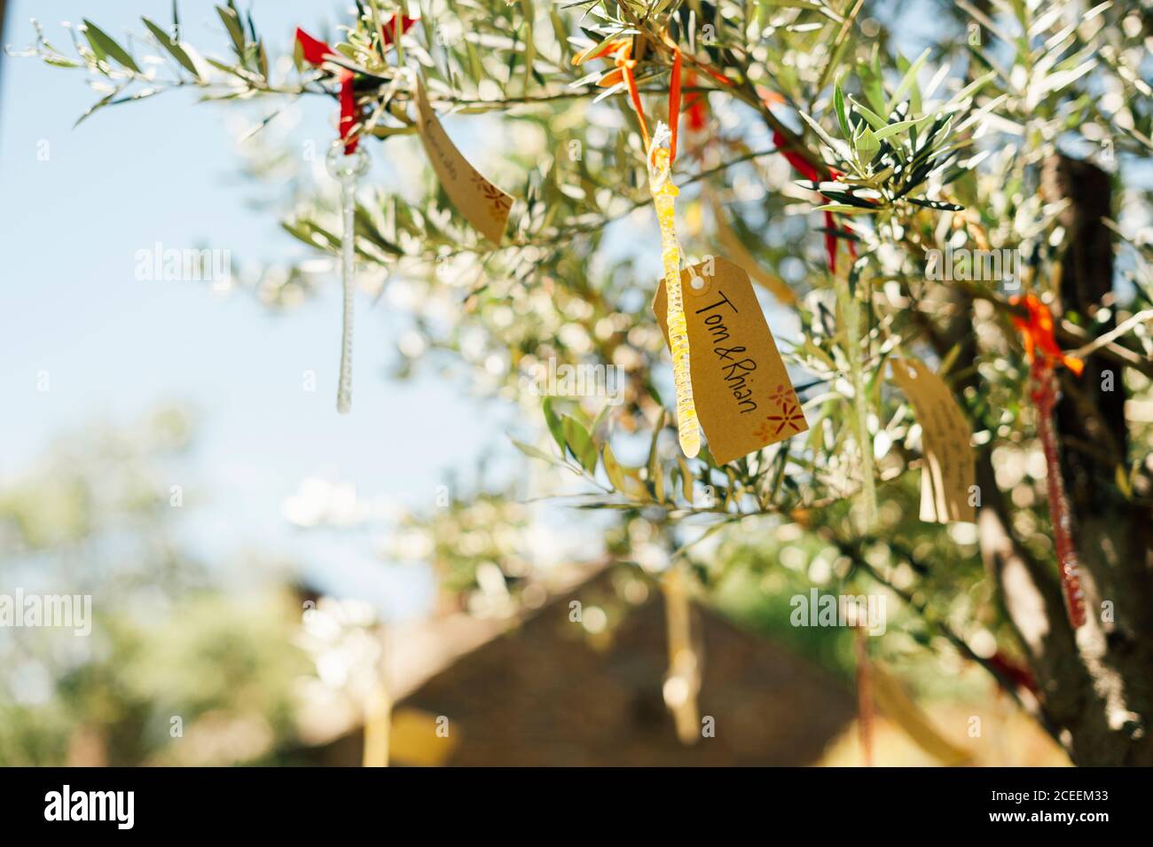 Paper cards with names hanging on tree branches in countryside Stock