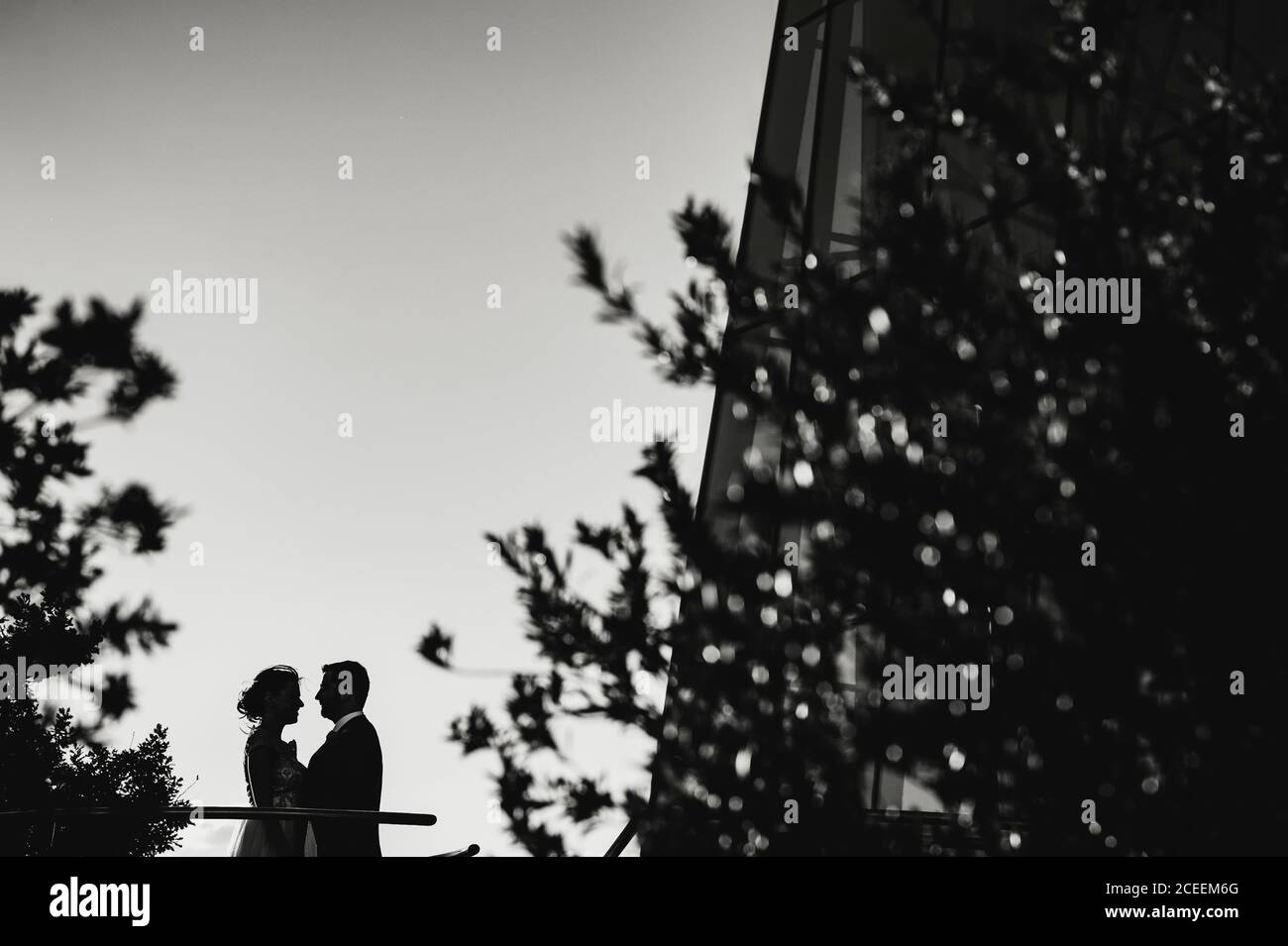 Black and white shot of silhouette of couple standing in the garden at the house. Stock Photo