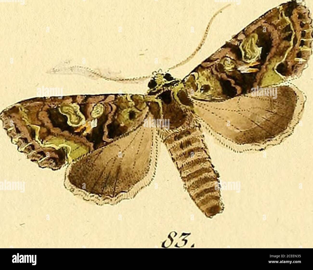 Ea O E High Resolution Stock Photography And Images Alamy Ea O E High Resolution Stock Photography And Images Alamy