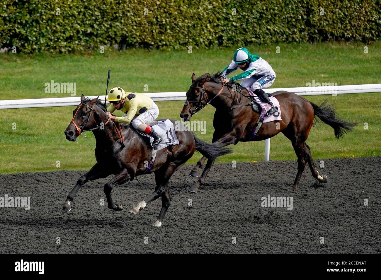 Every race live on racing tv handicap kempton park racecourse hires