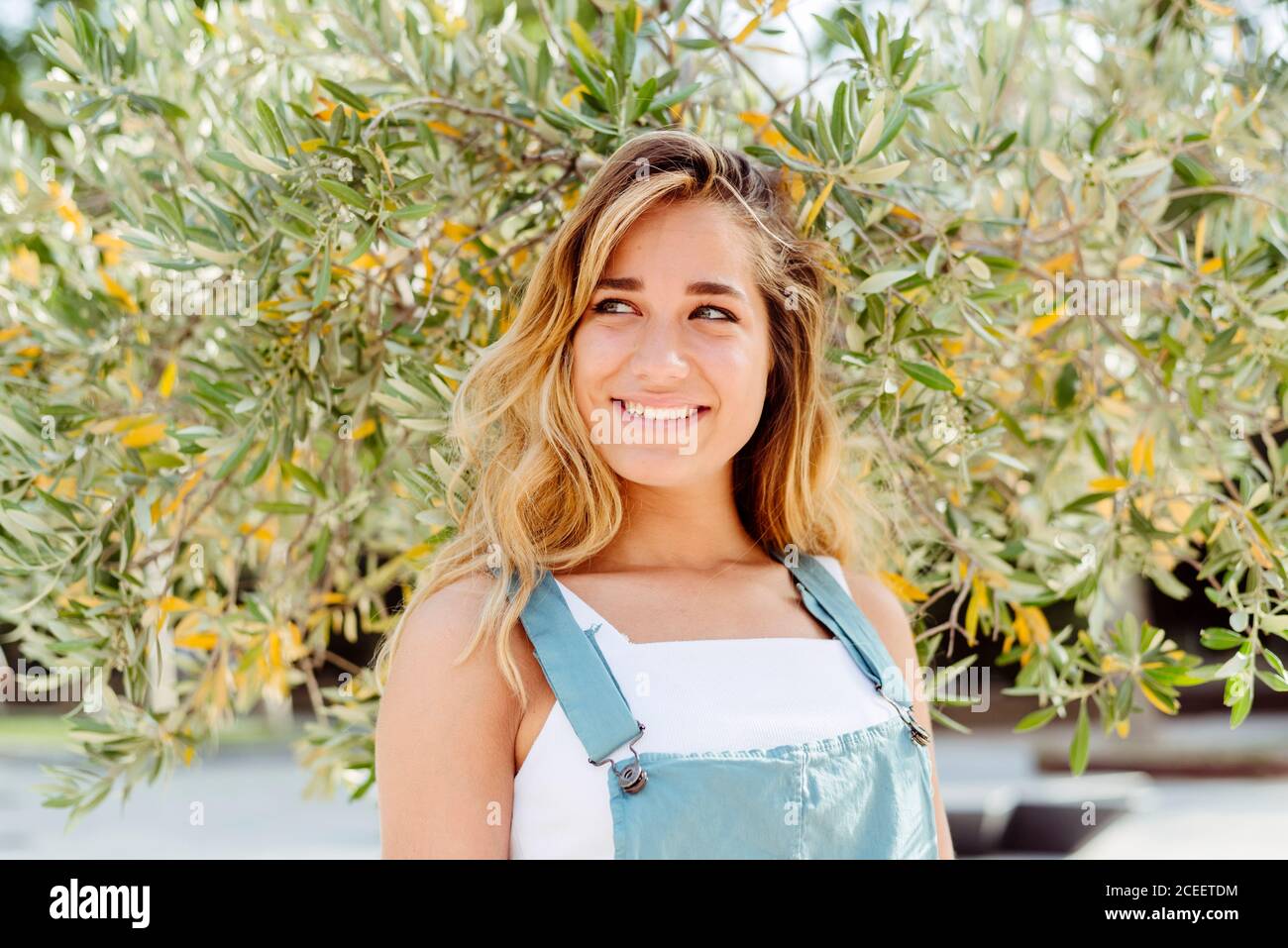 Smiling Woman at tree Stock Photo