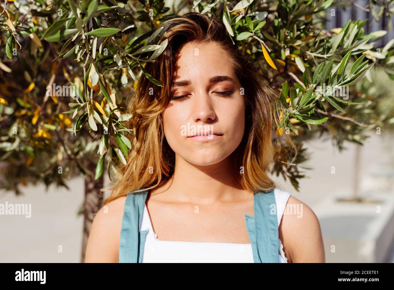 Smiling Woman at tree Stock Photo