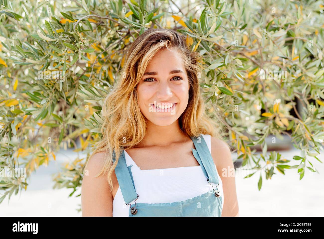 Smiling Woman at tree Stock Photo