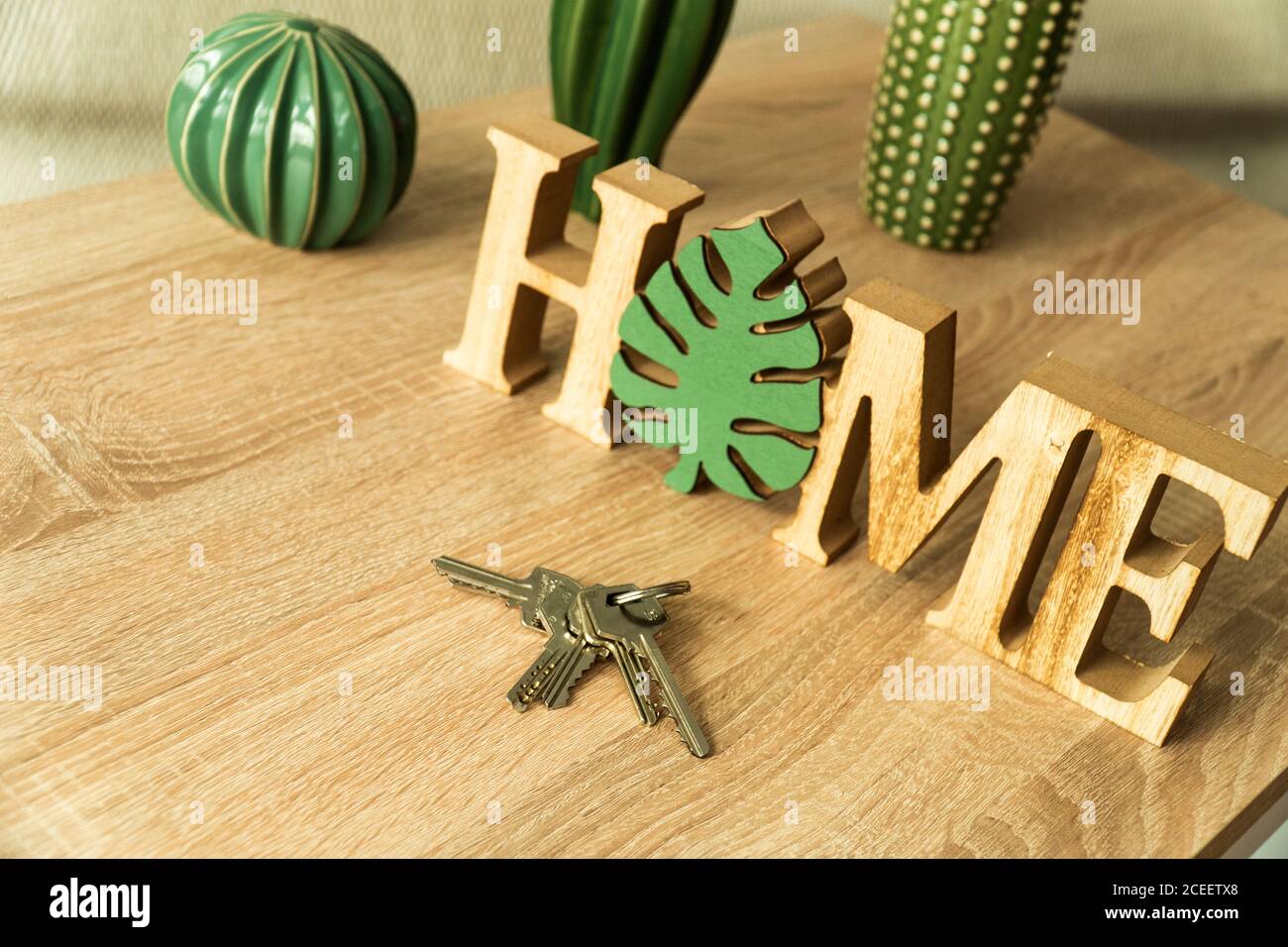Keys on the table with some ornaments on the back where you can read home and see some cacti Stock Photo