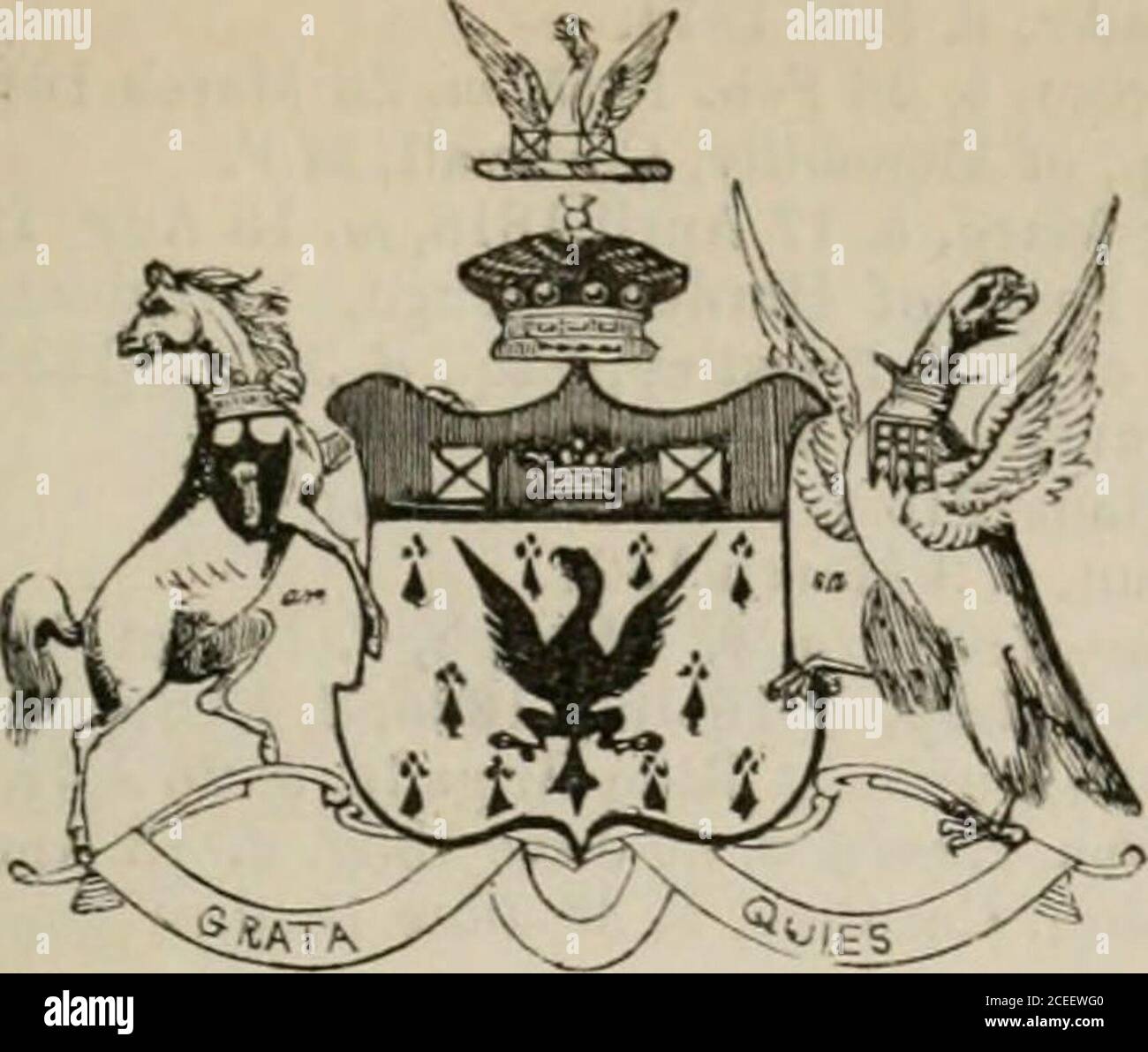 . The peerage of the British Empire as at present existing : arranged and printed from the personal communications of the nobility. 25 June 1845. 3 Emily, b. 12 Sept. 1826. 4 Charlotte-Alice, b. 17 July 1831. 9 Hon. Lieut.-Col. Henry, C.B., b. 14 Sept. 1785, Aide-de-Camp to Sir John Moore at Corunna, and to the Duke of Wellington at Waterloo, d. 15April 1825. 10 Lady Emily - Charlotte, b. 9 Nov. 1786, m. 25 July 1808, Andrew- Mortimer Drummond, Esq.—See Strathallan. 11 Hon. Rear-Admiral William-Henry, a Commissioner of Excise, b. 24 March 1788. 12 Hon. Frnncis-John,b. 1 May 1790, Capt. 23rd Fo Stock Photo