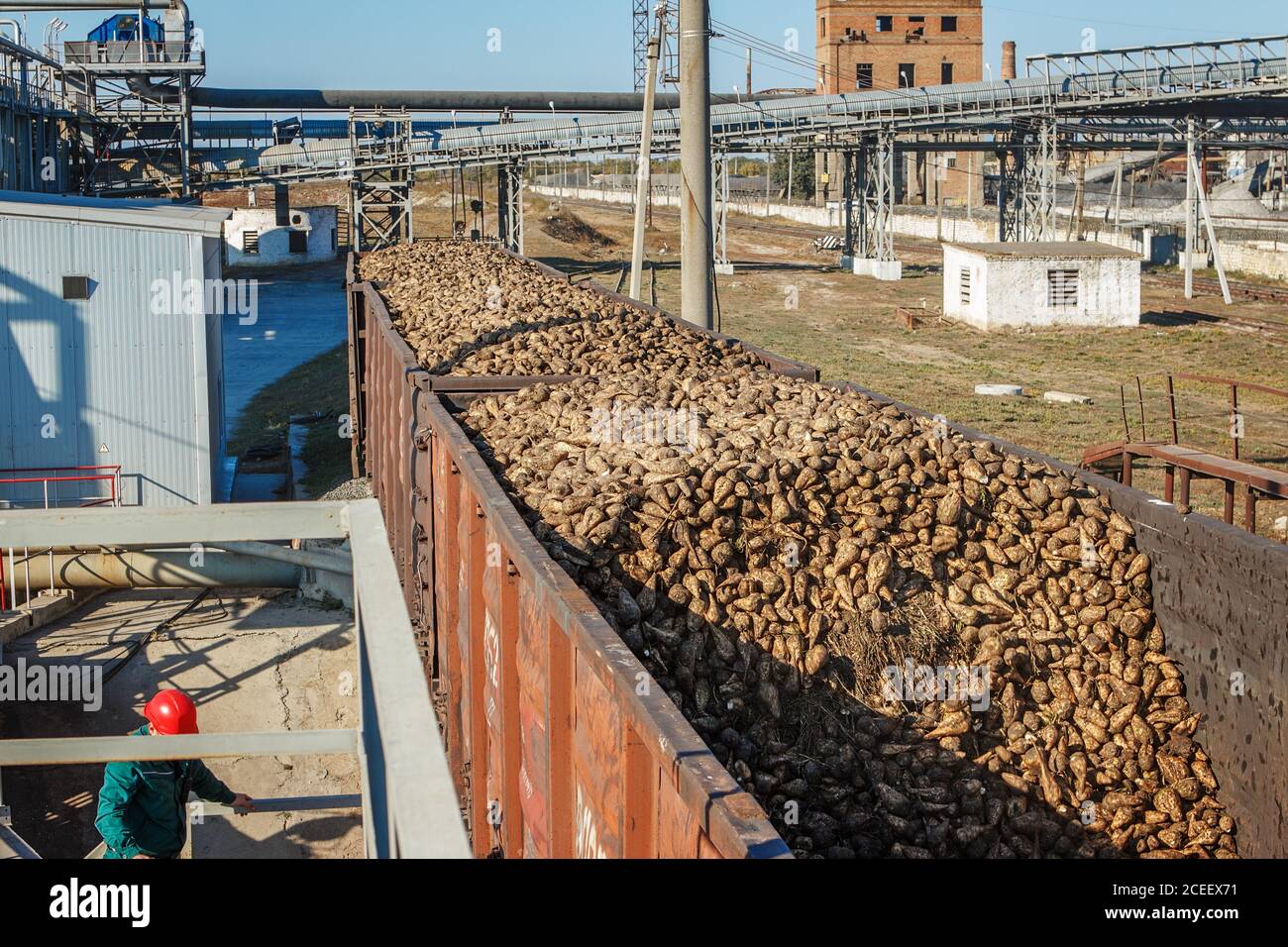 Freight wagons with sugar beets on the railroad at beet sugar plant
