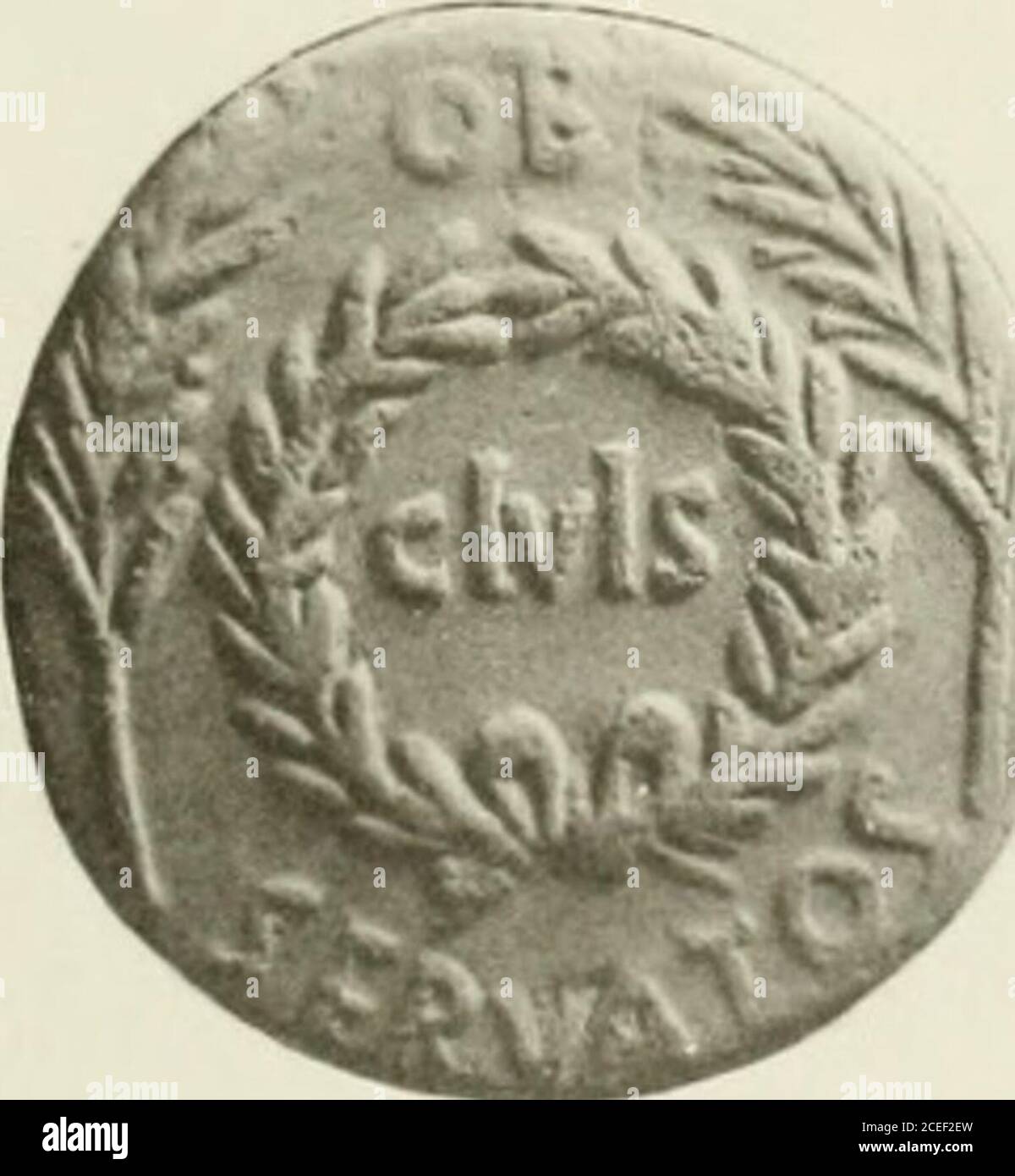 Ellaalexandraxo porn