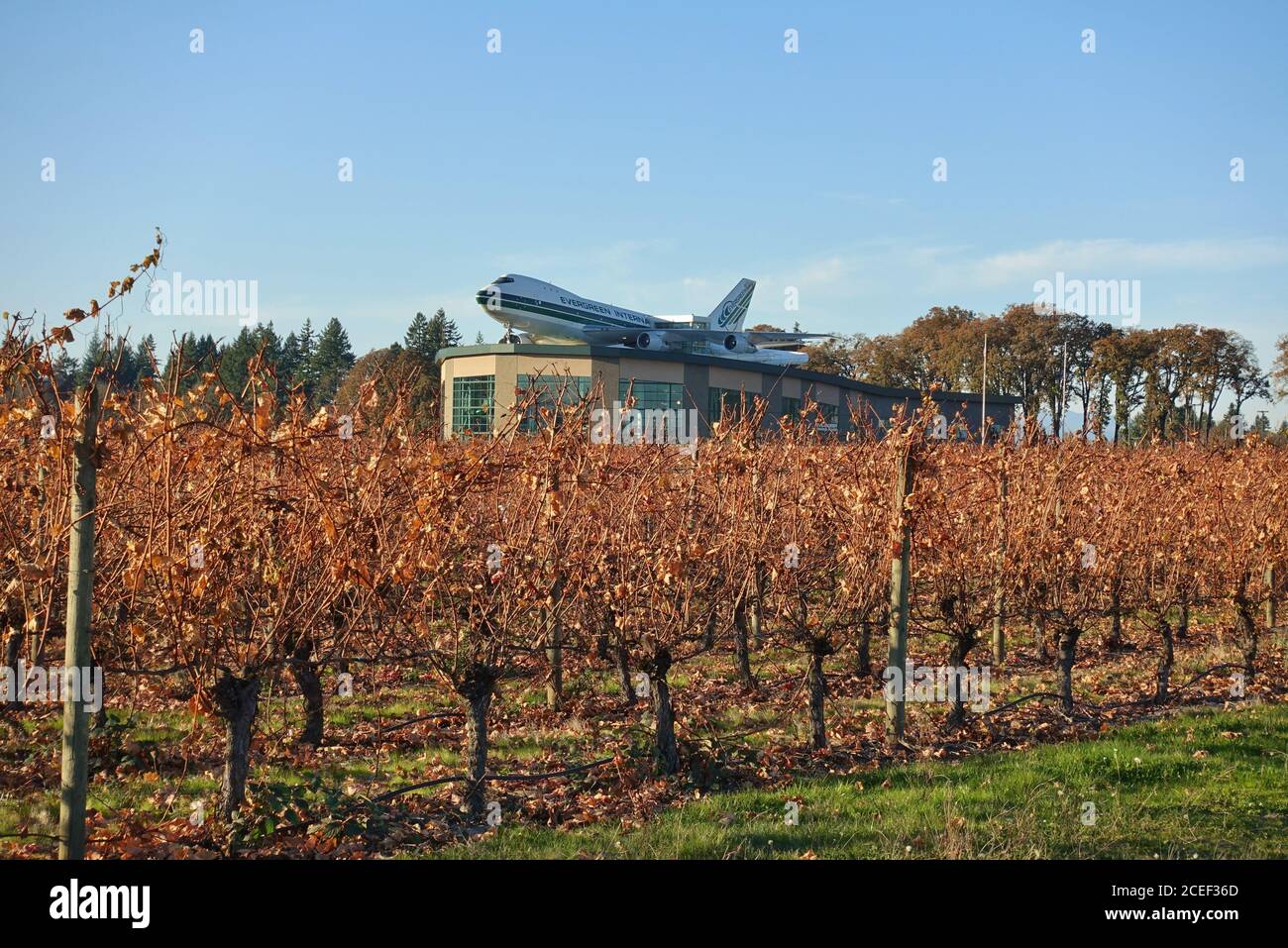 MCMINNVILLE, OR 2 NOV 2019 View of the Evergreen Wings and Waves Waterpark, an indoor