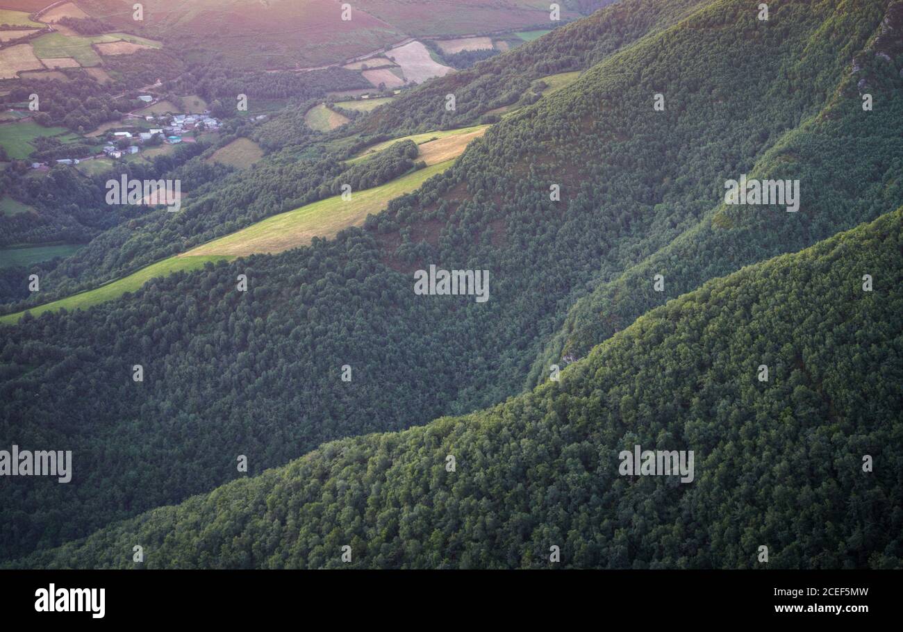 Forest covered slopes of oak and chestnut trees along the Camino de Santiago in Iribio Range Triacastela Galicia Stock Photo