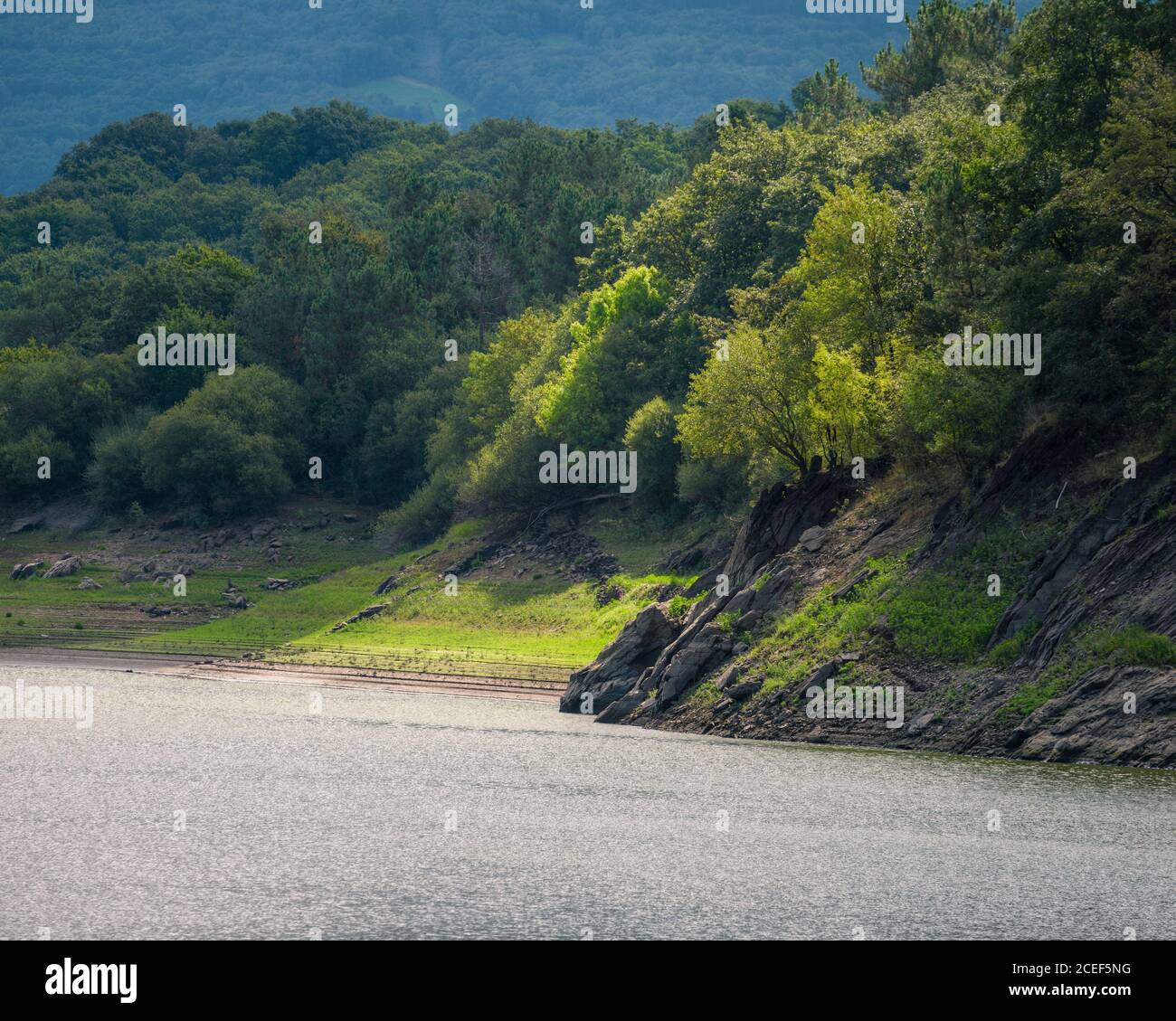 A ray of sunlight illuminates a portion of forest on the bank of a great river Stock Photo