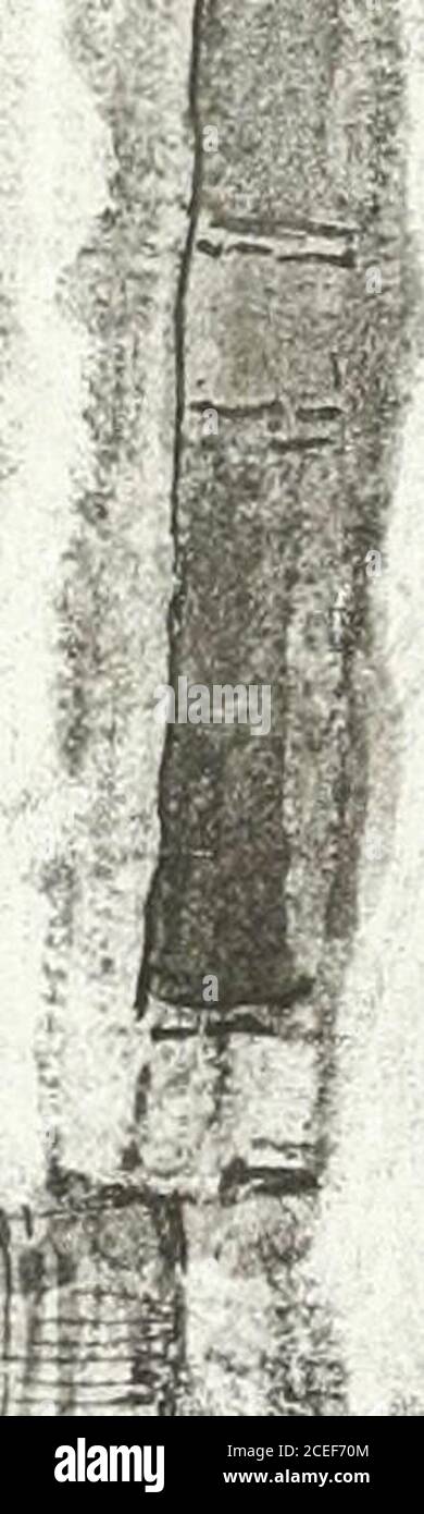 Gabriel Q High Resolution Stock Photography And Images Alamy