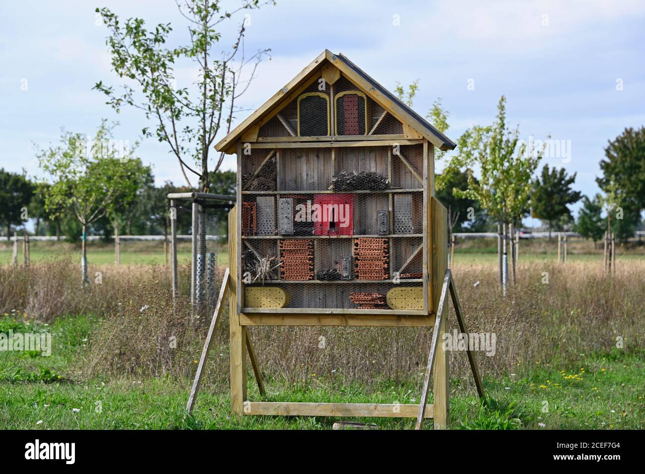 A Wild Bee and Insect Shelter Hotel Stock Photo - Alamy
