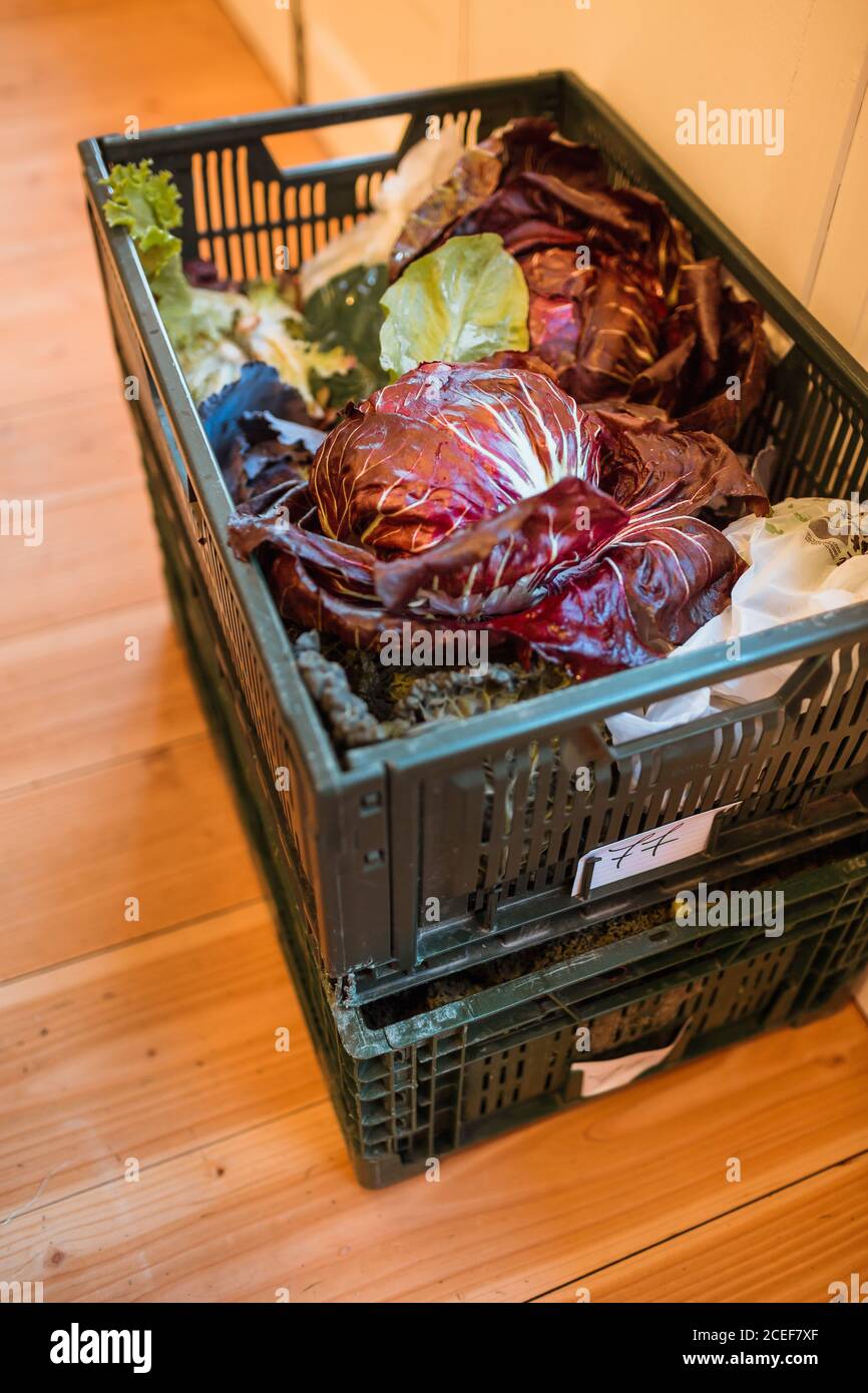 Box filled with green vegetables Stock Photo