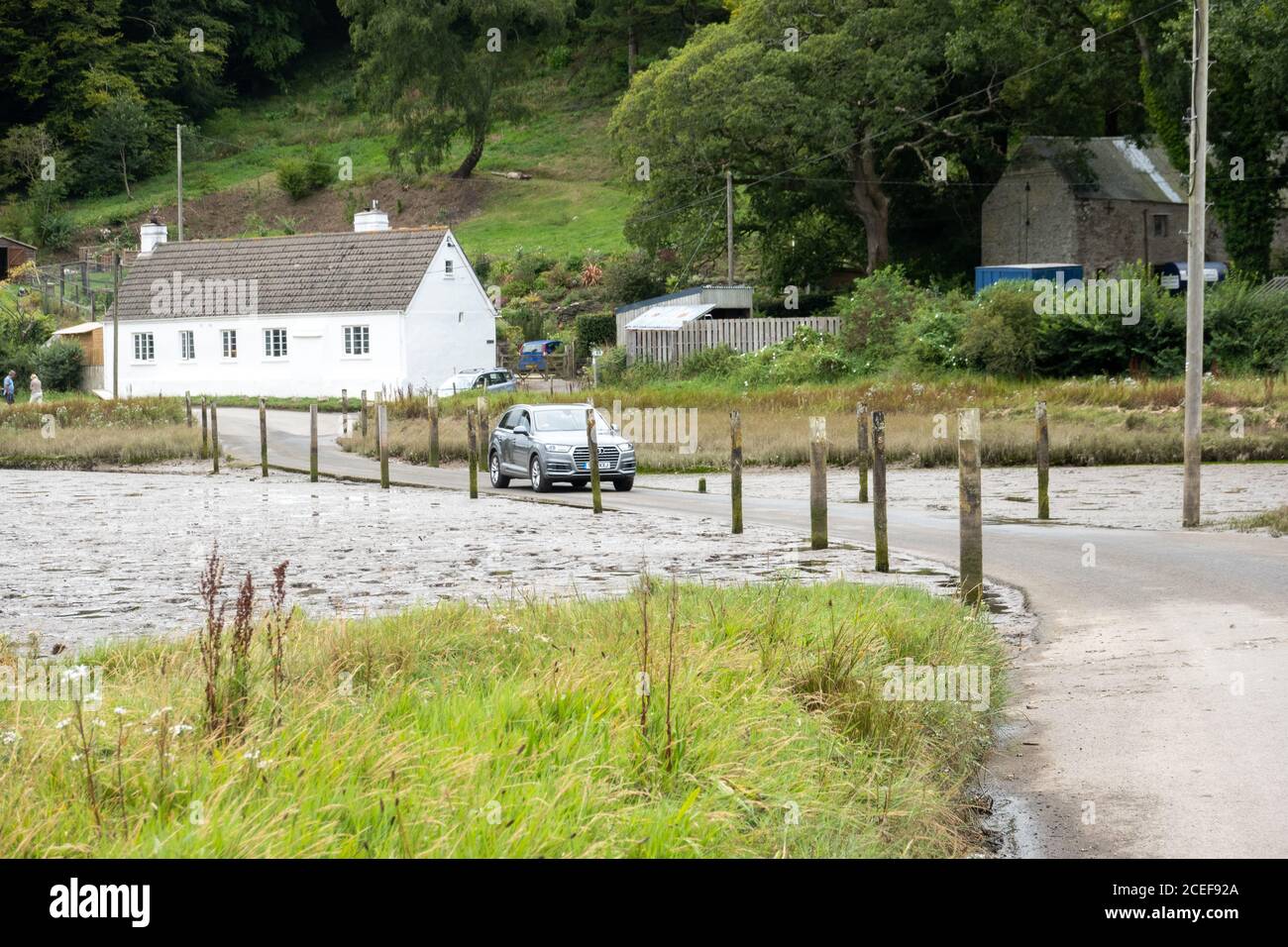 Car driving on the Tidal Road, Aveton Gifford Stock Photo Alamy