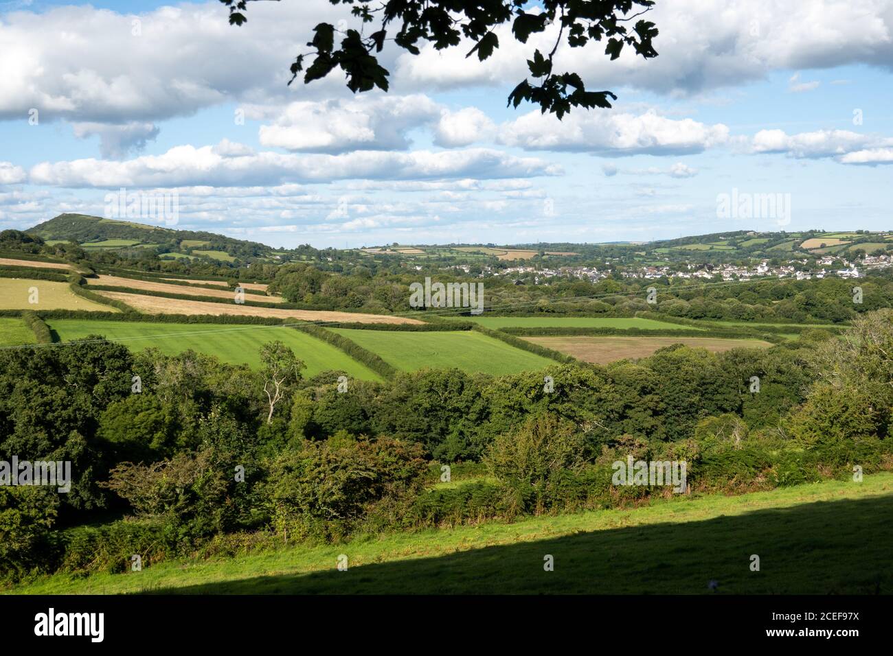 Fields surrounding South Brent, Devon, in the sunshine Stock Photo Alamy