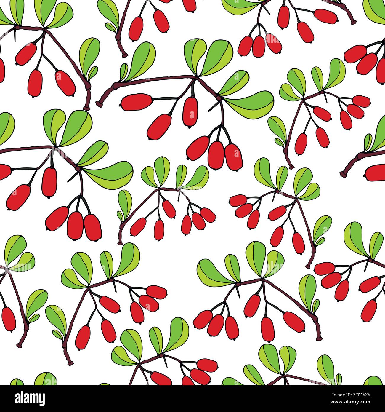 Branch with leaves and ripe barberry berries,white background. Stock Vector