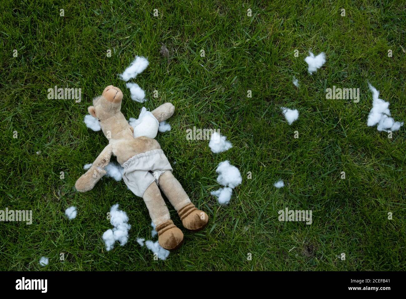an eviscerated stuffed animal on the grass Stock Photo