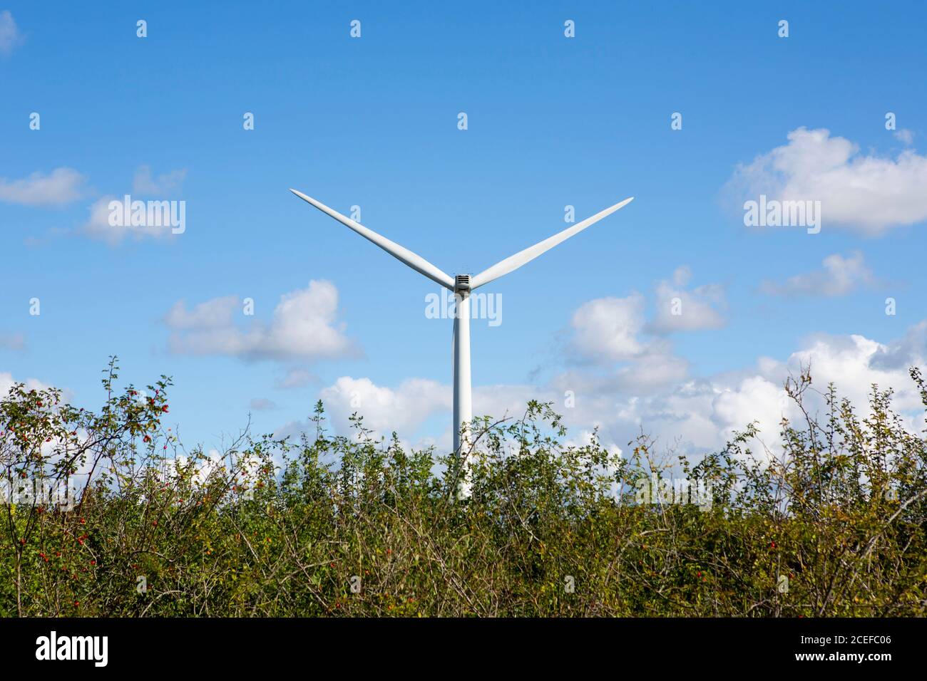 Wind Turbine against blue cloudy sky Stock Photo - Alamy