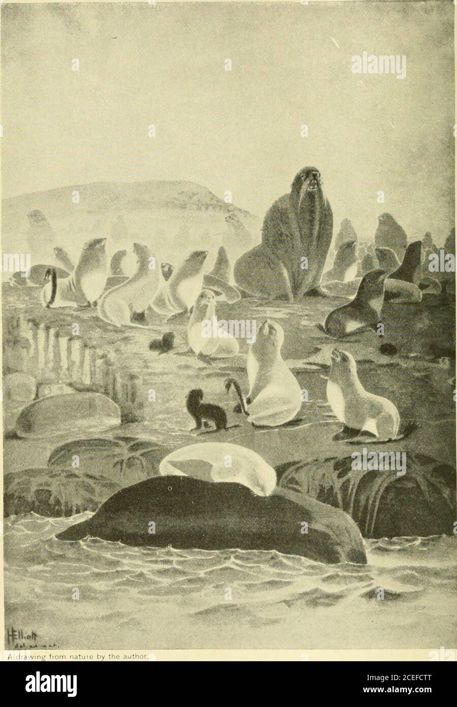 Treasury seals hires stock photography and images Alamy