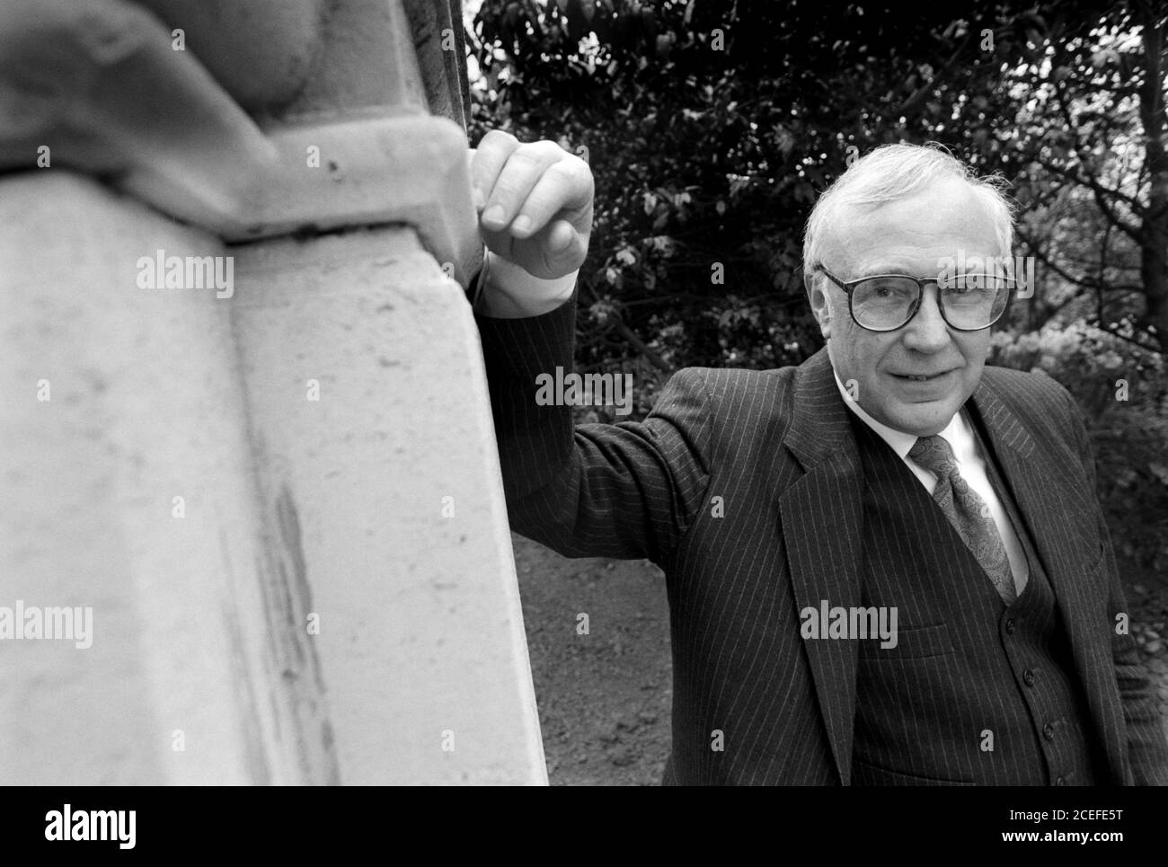 Lord Robert Skidelski photographed in the Victoria Green at The House of Lords in Westminster. 30 March 1993. Photo: Neil Turner Stock Photo