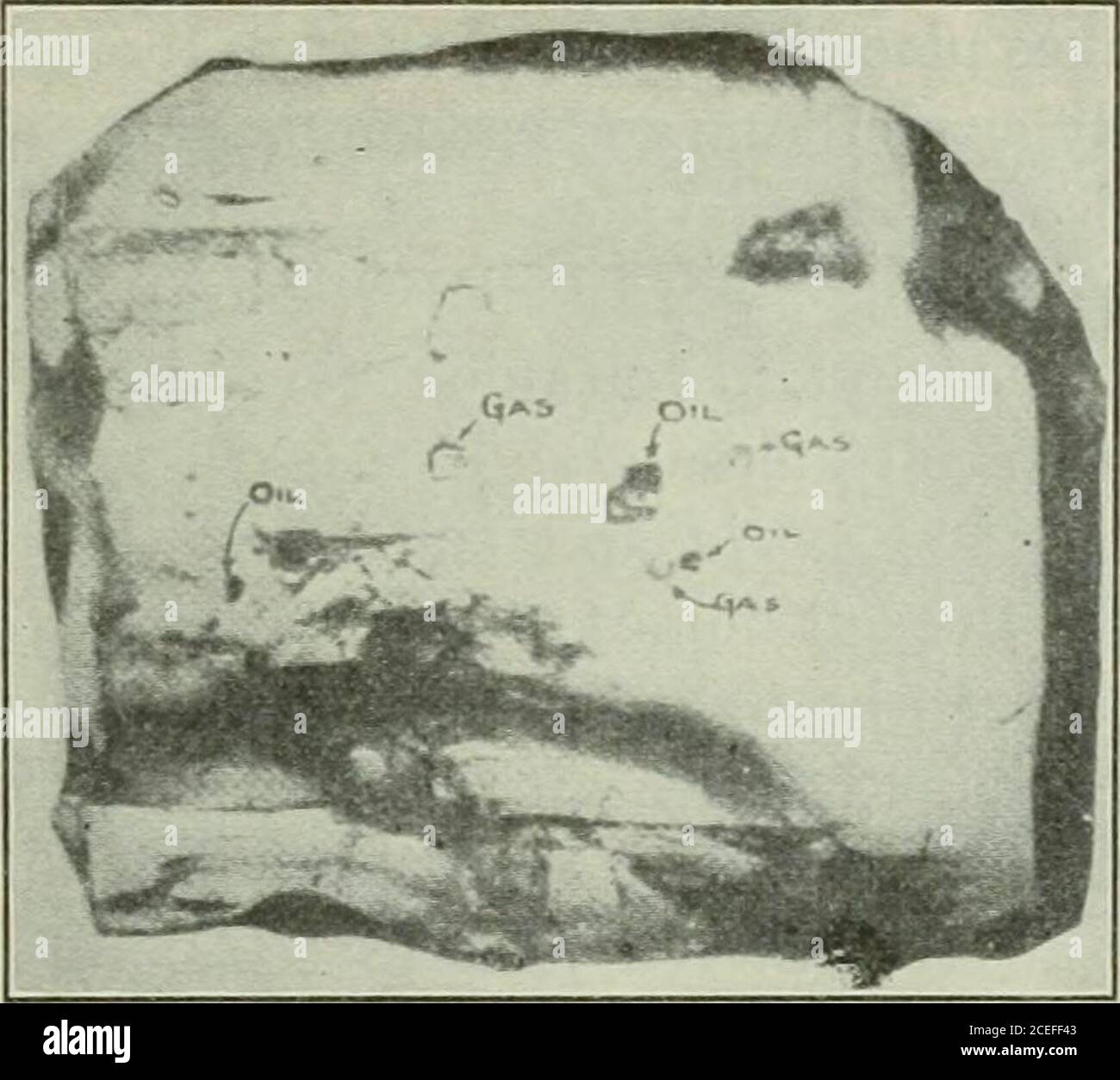 . Transactions. eadjacent slush pond, 100 ft. in diameter, where the returns of the wellwere dumped, was covered during a cold spell with about an inch of solid £# 7 There are records of a number of wells showing that after a lapse of a certainperiod they were found to be again producing, for a time, one or more hundred ofbarrels per day, thus proving that the oil traveled upward, refilling the exhaustedlocality. ANTHONY F. LUCAS 511 paraffin. At about 2700 ft., the drill apparently passed out of saltinto a calcareous rock like anhydrite and magnetite, and at 3171 ft. about3 bbl. of reddish oi Stock Photo