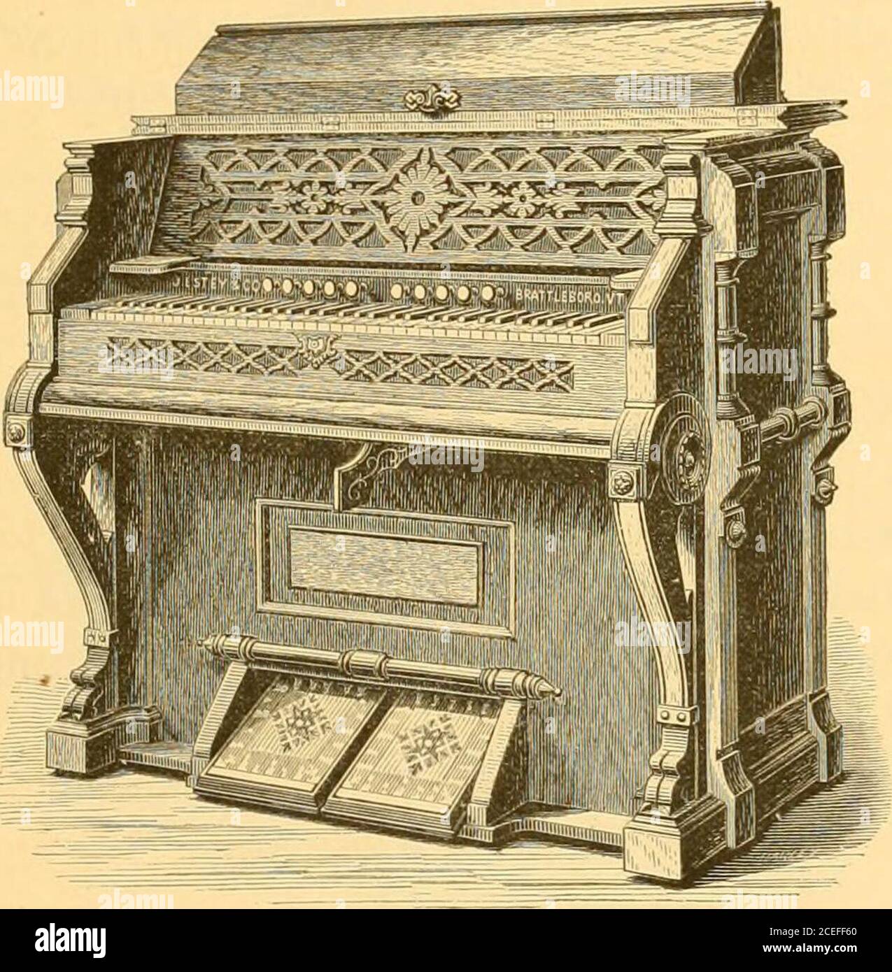 Illustrated catalogue of cottage organs : giving a brief account of the  most extensive cottage organ establishment in the world; together with a  description of the different styles of organs manufactured,