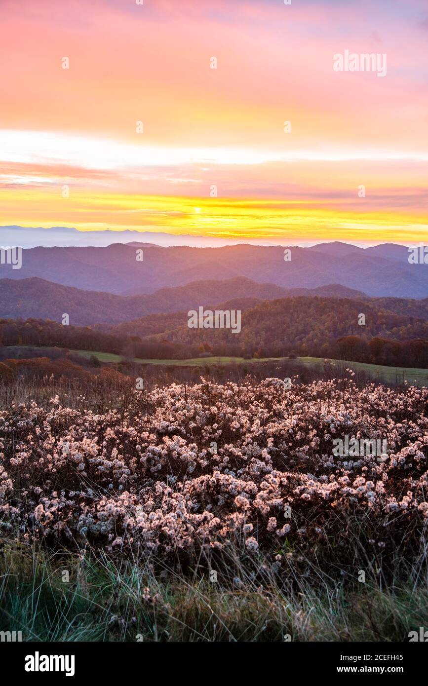 Sunrise at Max Patch in the Blue Ridge Mountains in Fall Stock Photo