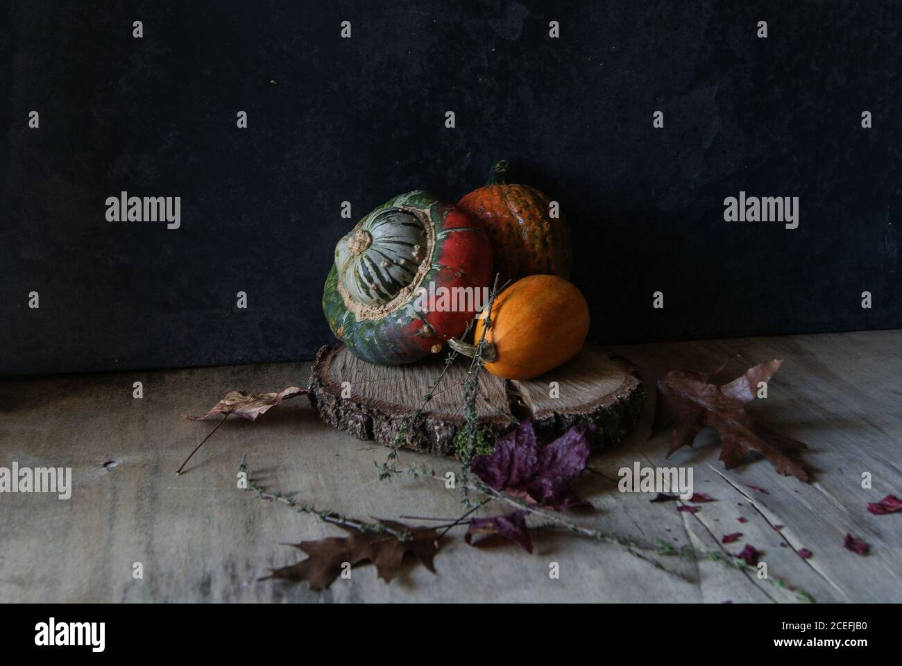 Bright pumpkin composition on wood slice Stock Photo