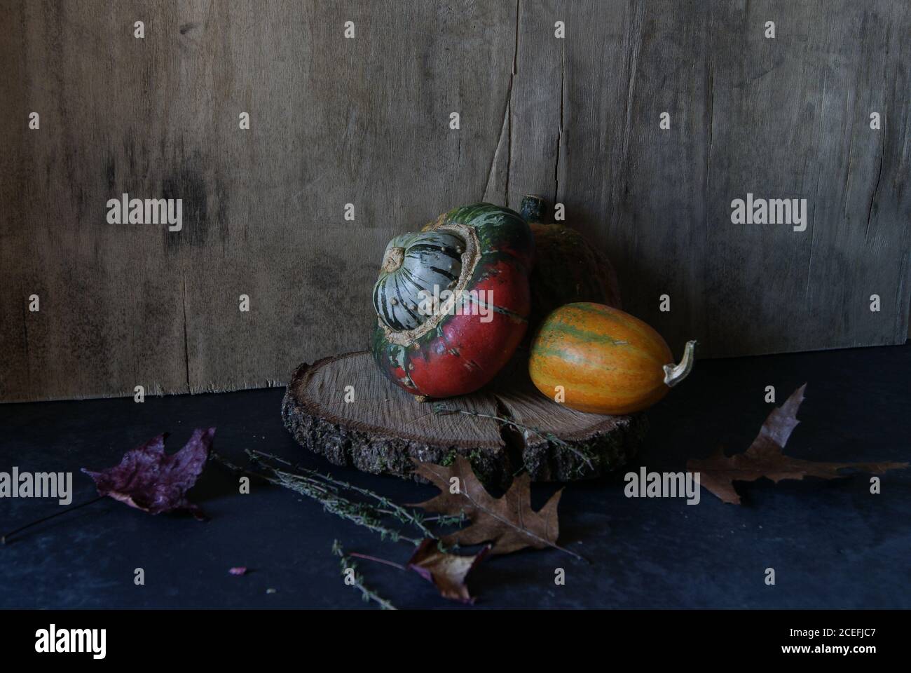 Bright pumpkin composition on wood slice Stock Photo