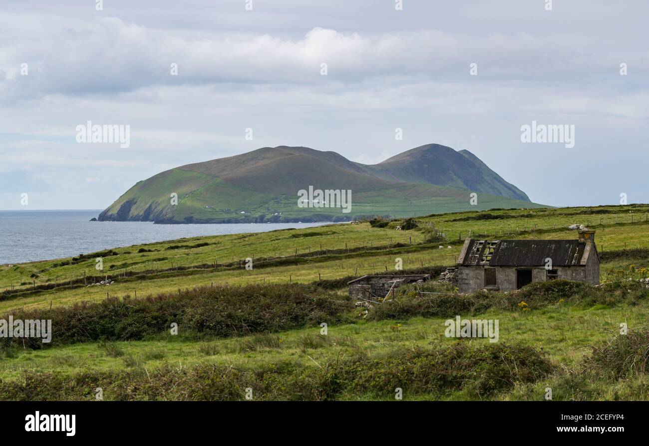 old  abandoned irish cottage on the Dingle peninsula, View of great Blasket Island in the background. Stock Photo