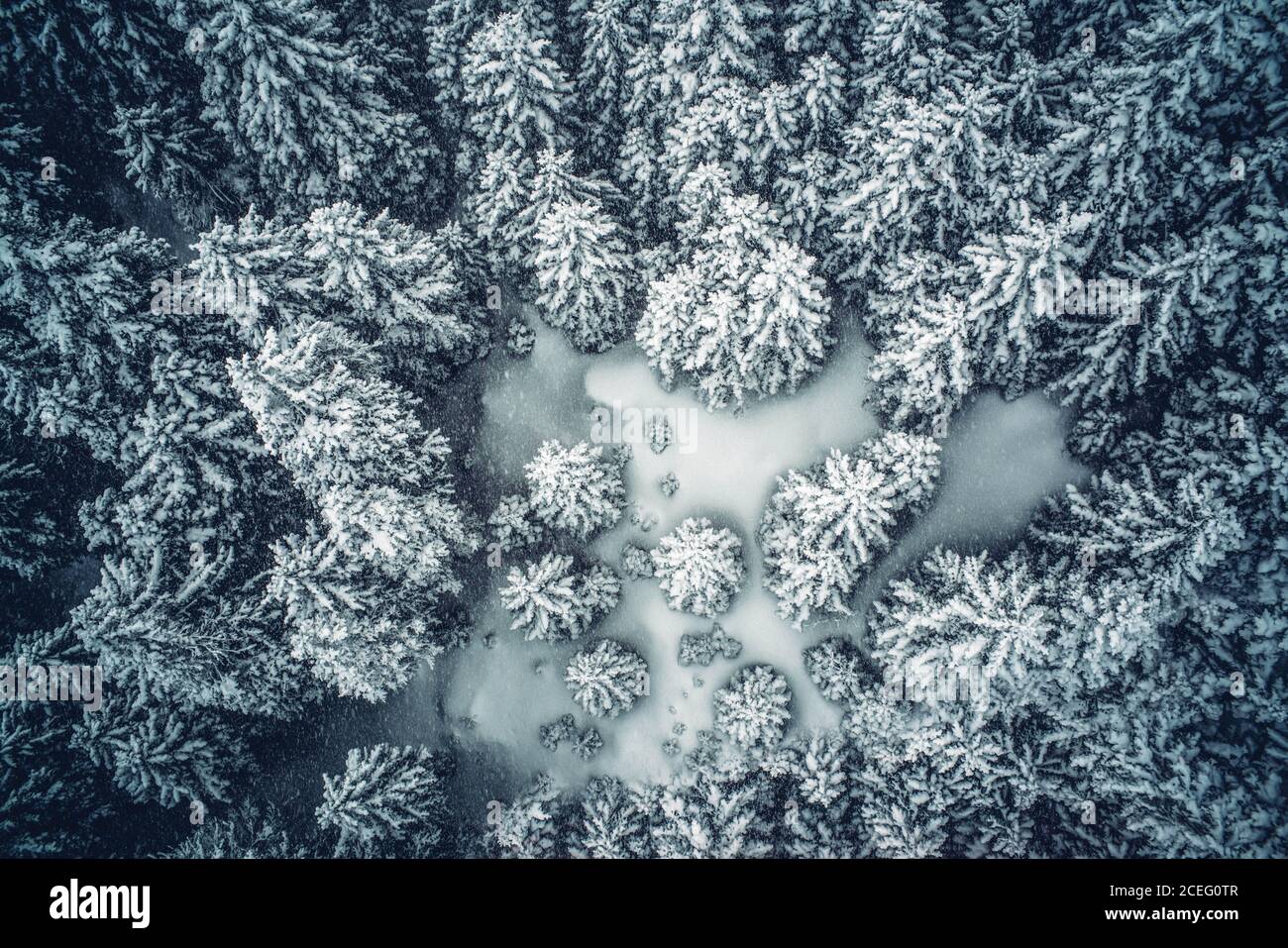 Snowy pine trees hi-res stock photography and images - Alamy